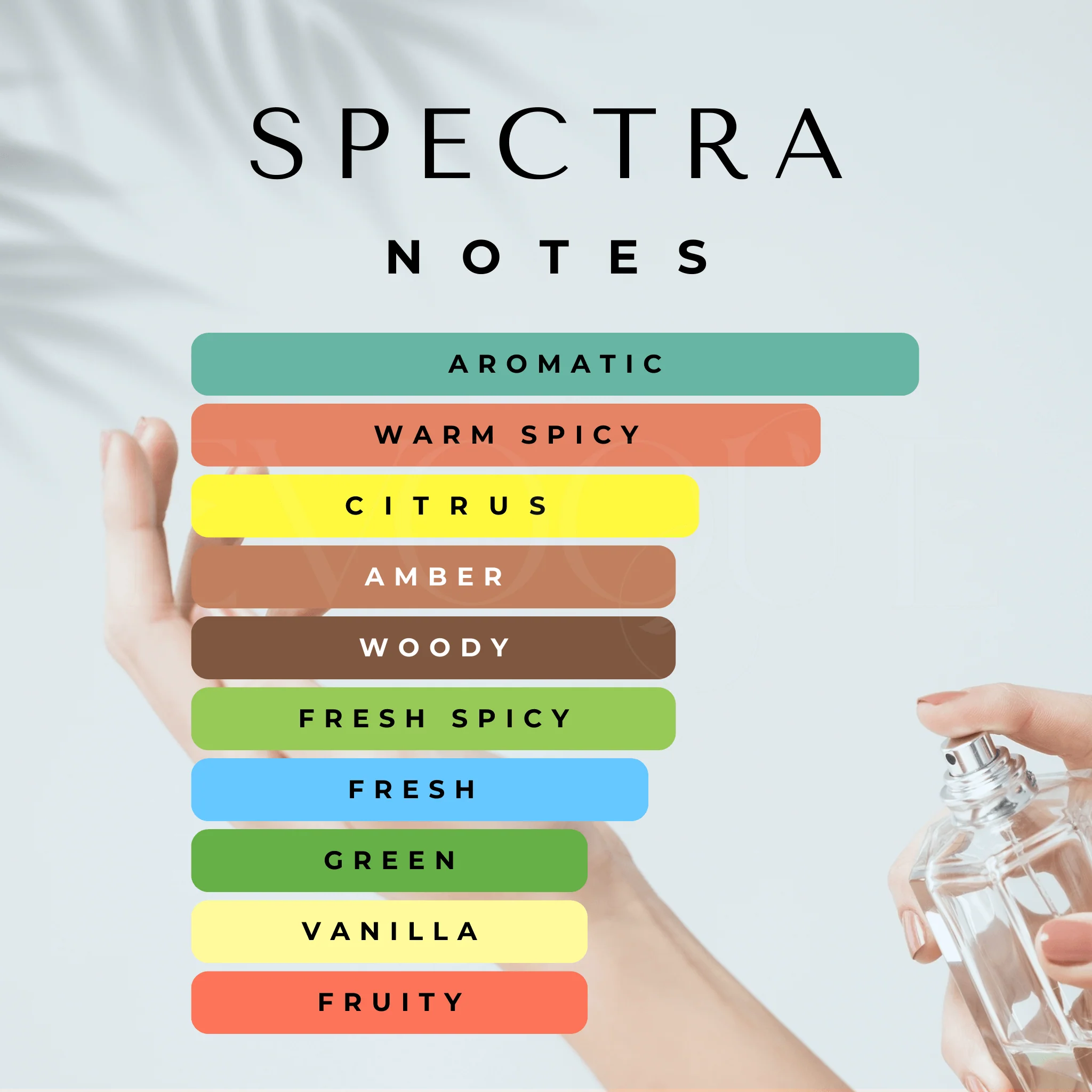 Spectra - Best Male Perfume - Image 3