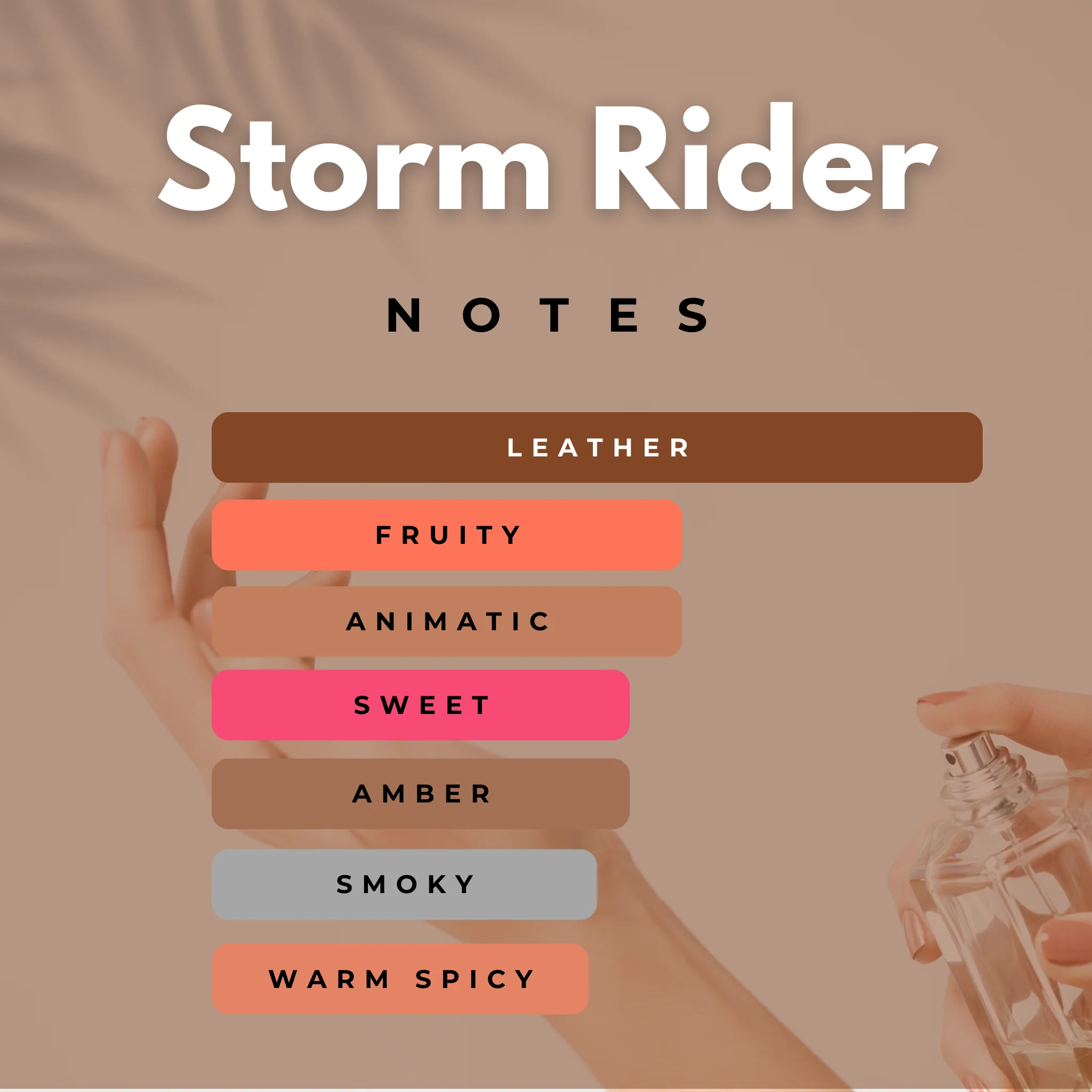 Storm Rider - Strong, Leathery & Smoky - Image 3
